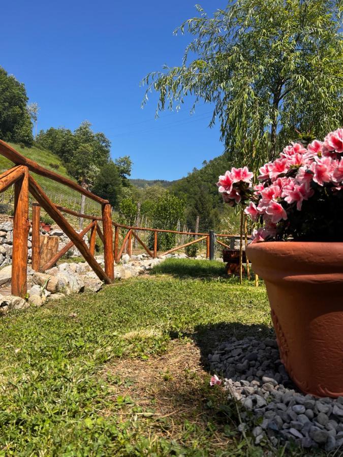 Agriturismo I Prati Di Venere Villa Sesta Godano Eksteriør billede