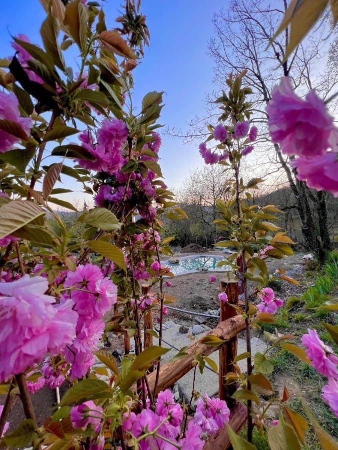 Agriturismo I Prati Di Venere Villa Sesta Godano Eksteriør billede